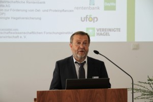 Vogel
