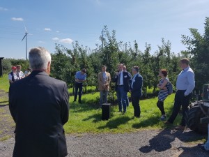 ObstKlopp (800x600)